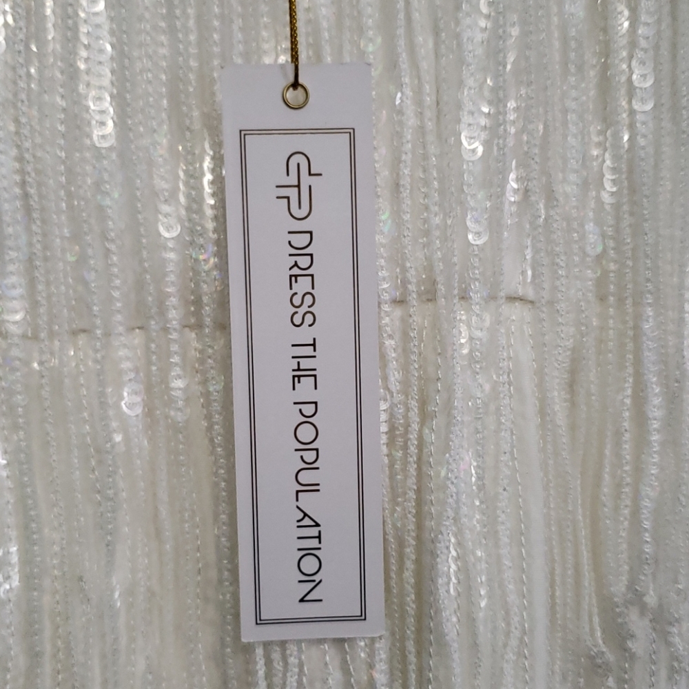 ✨NWT Dress The Population White Roxy Fringe Dress - Picture 5 of 7